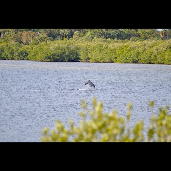 Meet your Posher, Neale - Picture 1 of 1